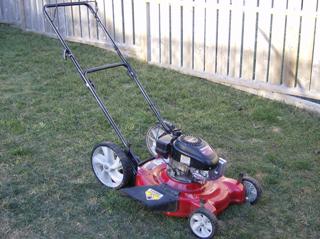 hand pushed mower