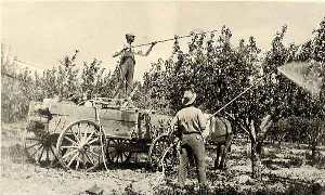 Men spraying weeds