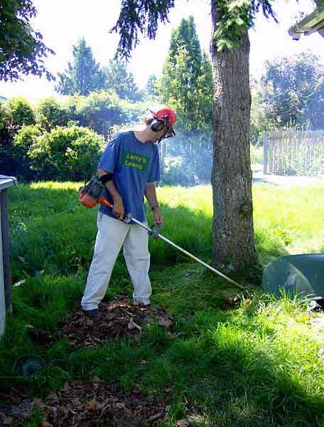 A man using a whipper-snipper